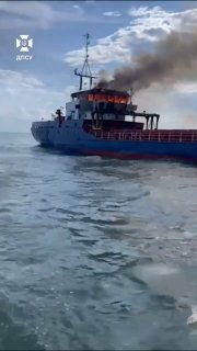 Грузовое судно под флагом Палау поражено дронами-камикадзе в Дунае