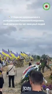 Иллюстрация 3