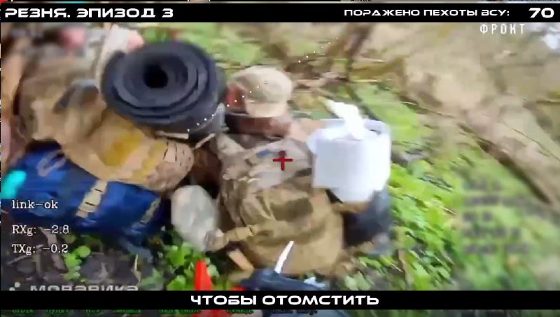 Иллюстрация 1
