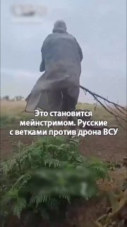 Военные якобы сбивают дроны-разведчики палками