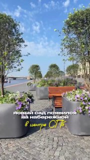 Красивые кадры цветущего сада на Университетской набережной