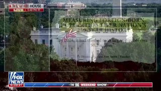 Численность иностранного населения в США составила не менее 50 миллионов человек