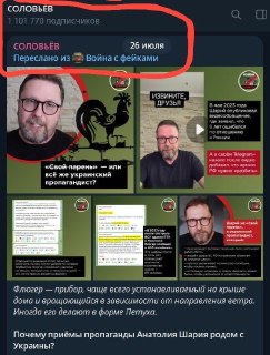 Критика медийной политики в отношении Петушария