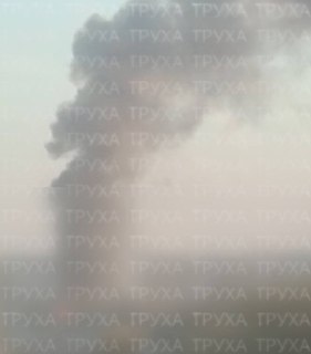 Иллюстрация 1
