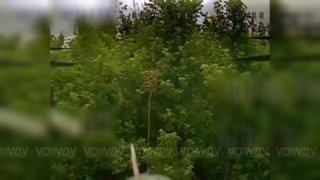 Операторы БПЛА уничтожили антенны станций управления в районе Орлов Днепропетровской области
