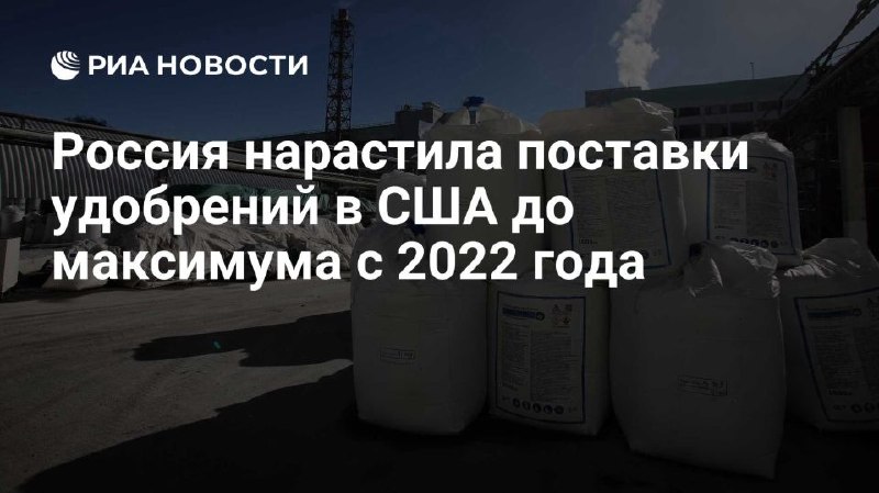 Иллюстрация 2