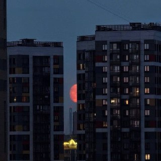 Иллюстрация 4