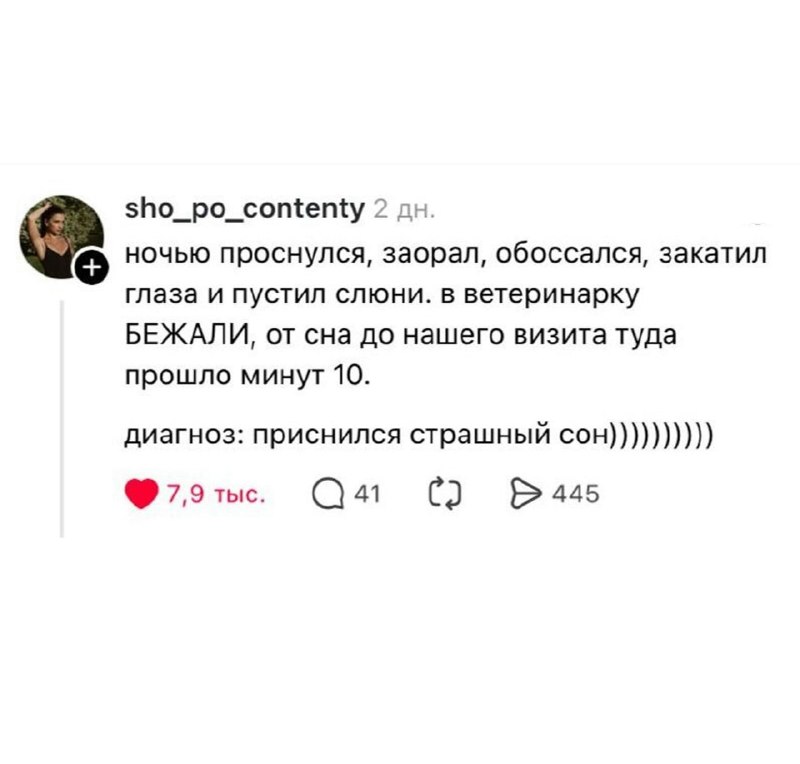 Владельцы питомцев рассказали о бесполезных походах к ветеринару