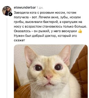 Иллюстрация 4