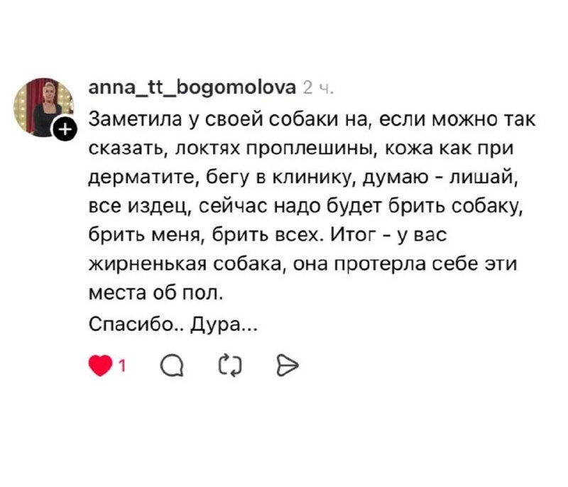 Иллюстрация 6