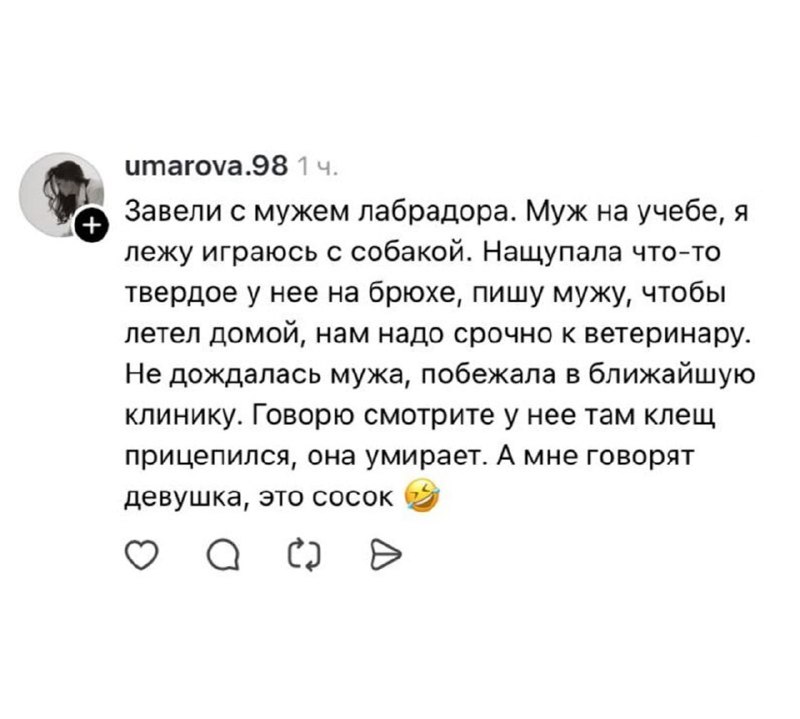 Иллюстрация 5