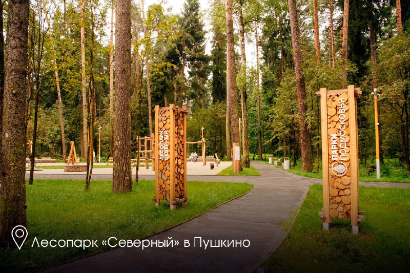 Иллюстрация 5