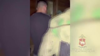 В Пермском крае задержана преступная группа, обманывавшая военных
