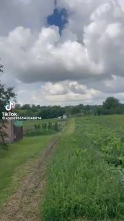 Ирония над действиями ТЦК и реакцией украинцев