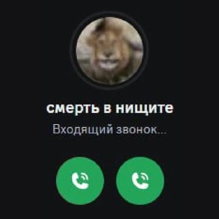 Связь между уровнем дохода и скоростью старения мозга