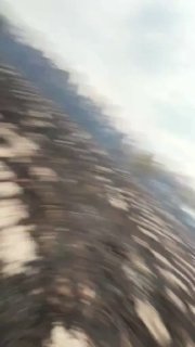Во Франции на пепелище лесных пожаров спасли олененка