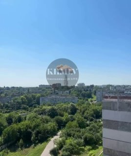 Иллюстрация 1
