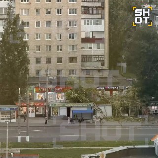 Иллюстрация 3