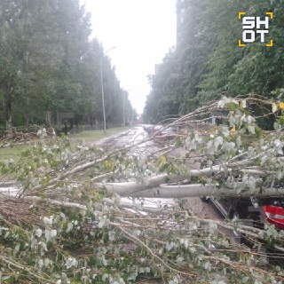 Иллюстрация 7