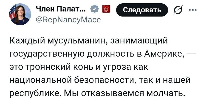 Нэнси Мейс сделала расистские заявления