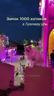 В китайском Гуанчжоу построили огромный комплекс для кошек Moon Cat