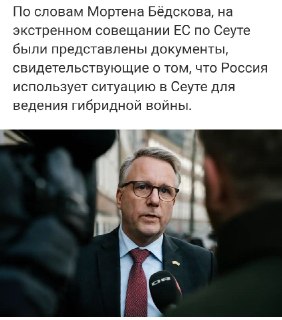 Министр иммиграции Швеции связал миграционный кризис в Сеуте с гибридной войной России