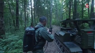 Иллюстрация 2