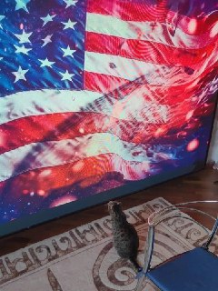 Ироничное замечание о чтении комиксов с Трампом и триколоре