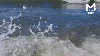 Рекомендация от Mash: видео с Байкалом для восстановления душевного спокойствия