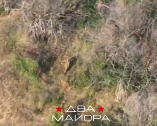 Операции на Запорожском фронте: продвижение в направлении Камышевахи и угроза для гарнизона Запорожья