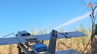Иллюстрация 2