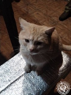 Иллюстрация 3