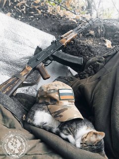 Иллюстрация 5