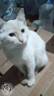 Иллюстрация 9
