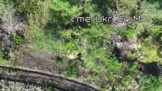 Работа артиллерии и FPV-дронов Южной группировки войск в Славянско-Краматорской агломерации