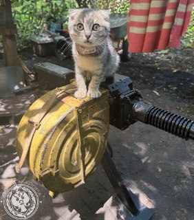 Иллюстрация 6