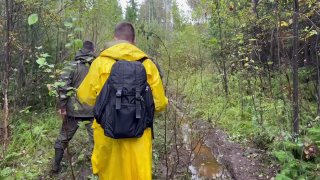 Иллюстрация 1