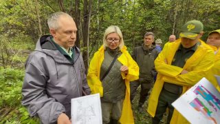 Иллюстрация 2