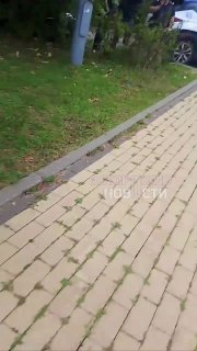 Иллюстрация 1