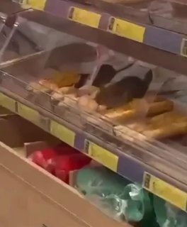 Дегустацию выпечки устроила БАНДА КРЫС в продуктовом магазине Питера