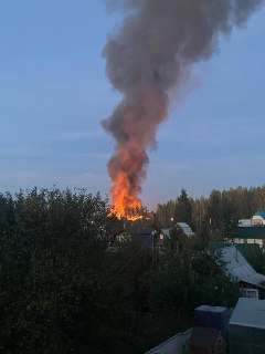 Иллюстрация 6