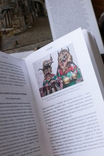 Иллюстрация 9
