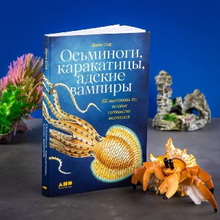Обзор книги об эволюции и жизни головоногих моллюсков