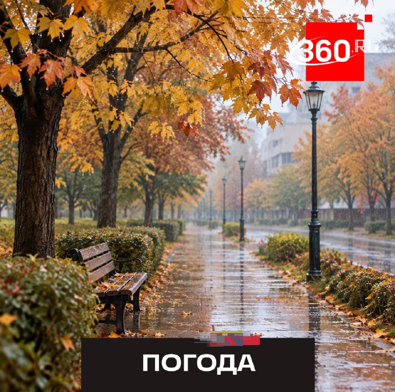 В Москве и Подмосковье на следующей неделе ожидаются дожди и температура выше нормы