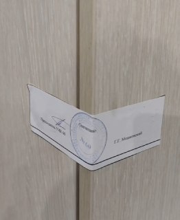 Председателя избиркома в Санкт-Петербурге подозревают в фальсификации и вскрытии сейфа с бюллетенями