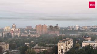 Иллюстрация 1
