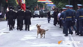 В Цхинвале пес на параде прогнал съемочный коптер