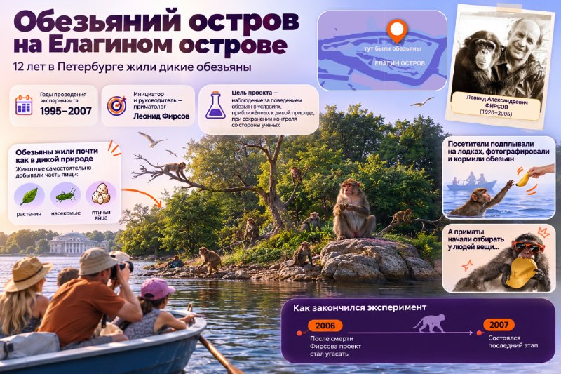 Иллюстрация 3