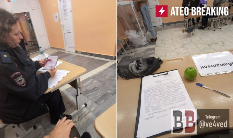 В Екатеринбурге полиция изъяла яблоко у наблюдателя от кандидата в Госдуму