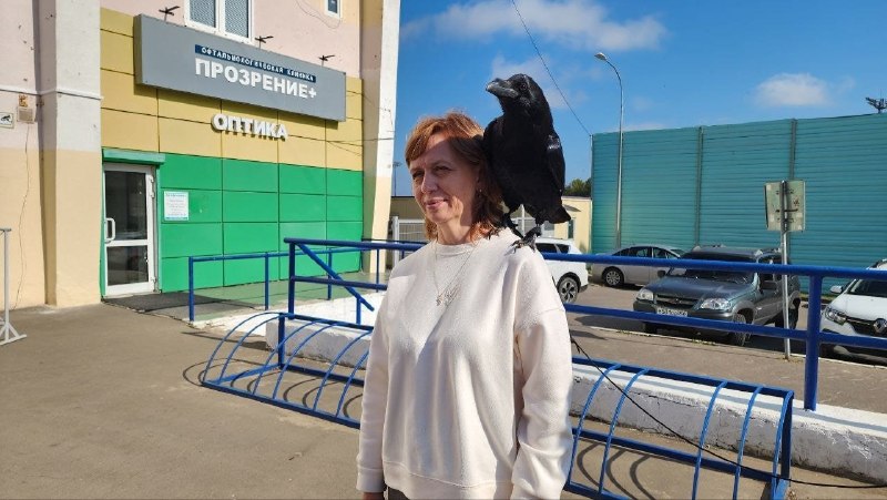 В Кашире на выборах появился говорящий ворон-наблюдатель Карлуша